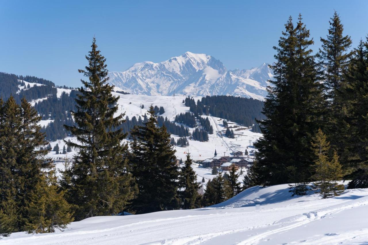 Les Saisies Appart 1 Chambre Au Pied Des Pistes Extérieur photo