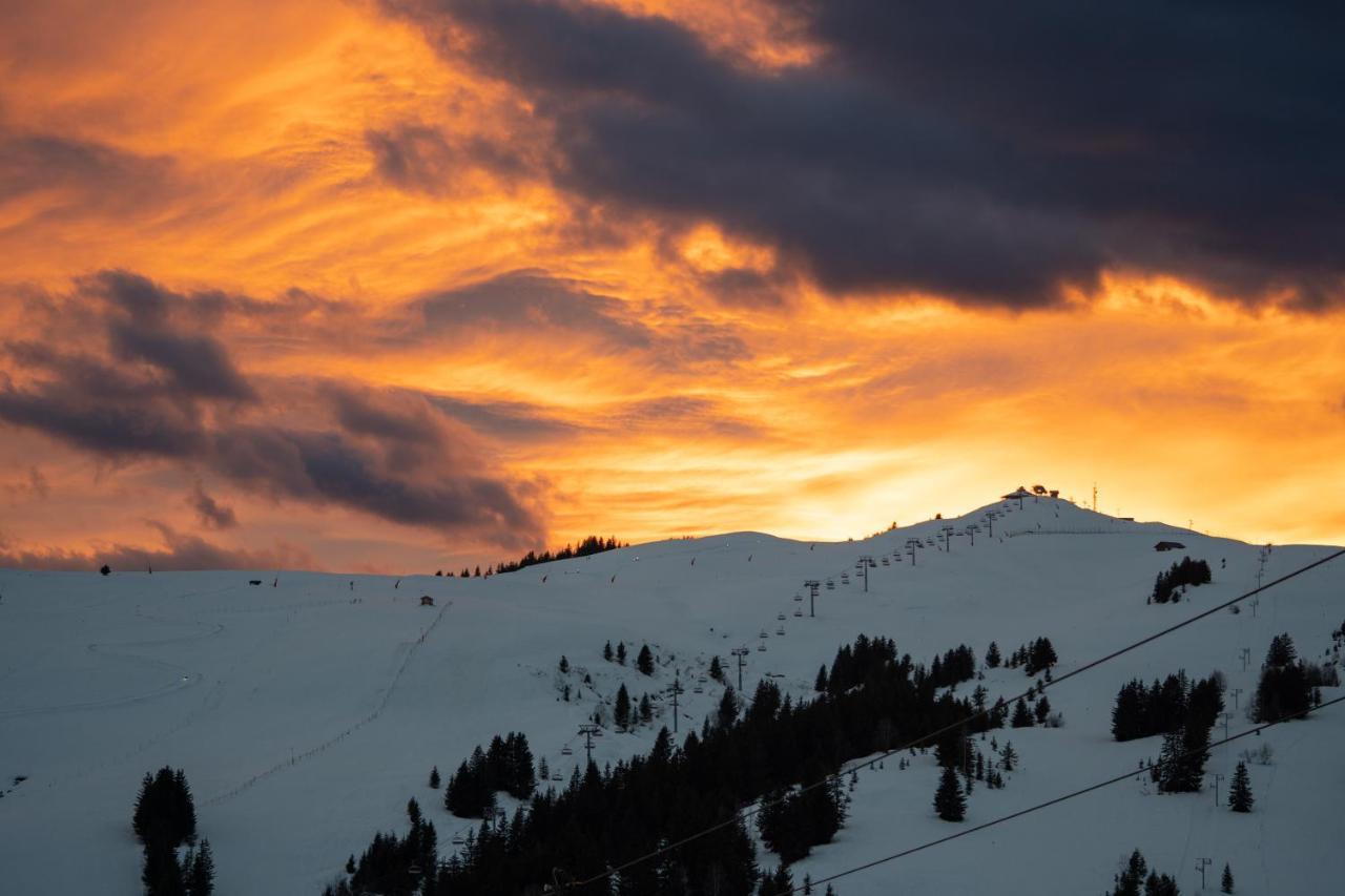 Les Saisies Appart 1 Chambre Au Pied Des Pistes Extérieur photo