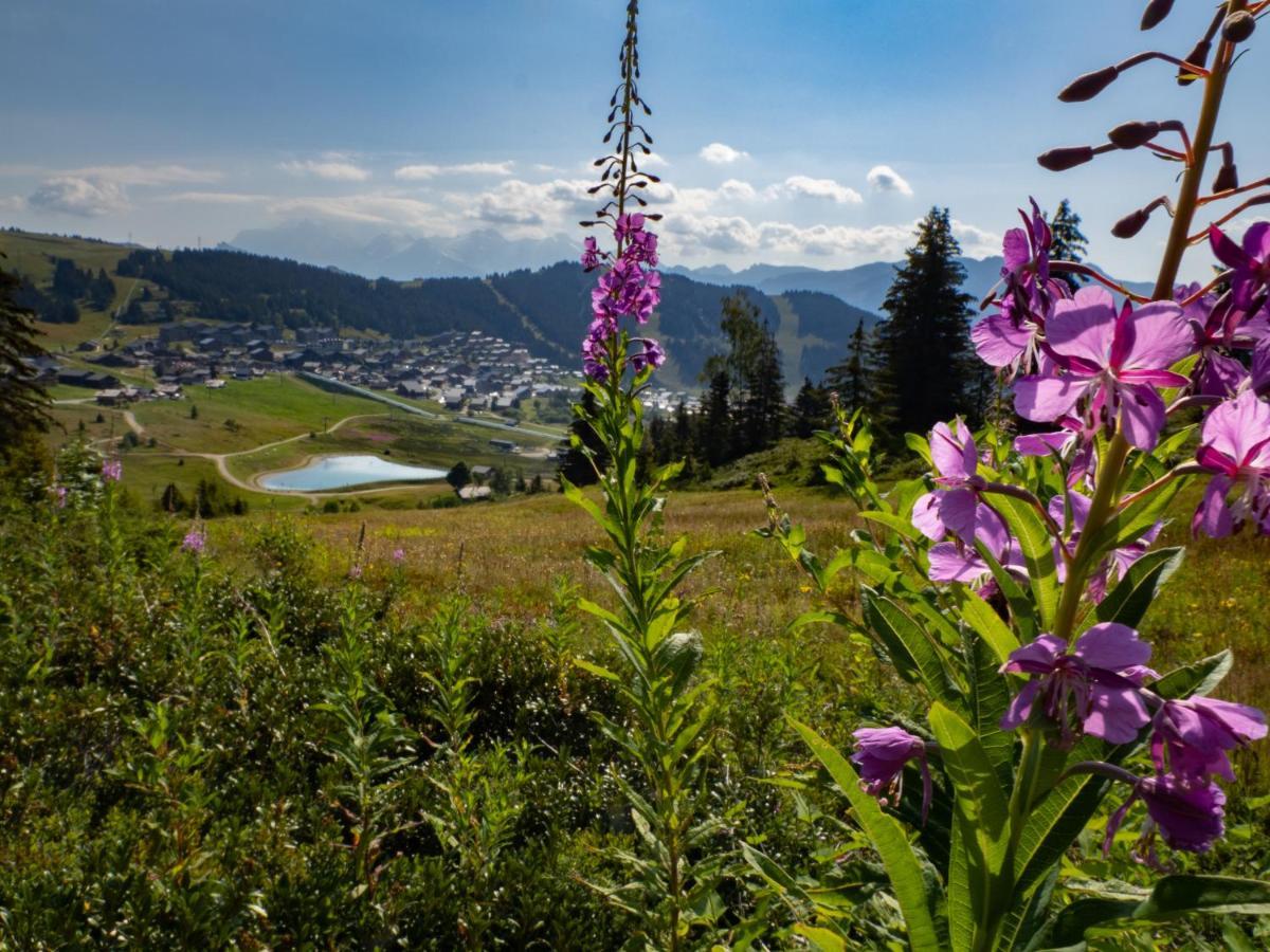 Les Saisies Appart 1 Chambre Au Pied Des Pistes Extérieur photo